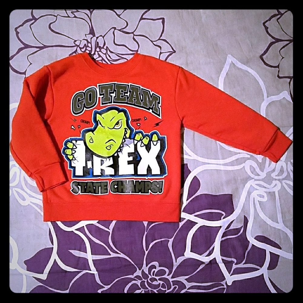 Fleece lined T-Rex sweatshirt